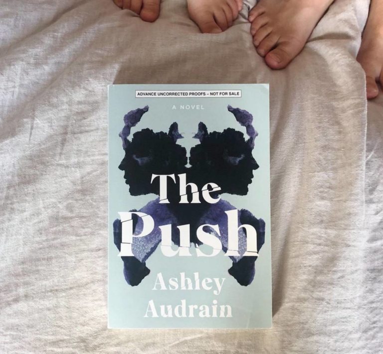 the push by ashley audrain