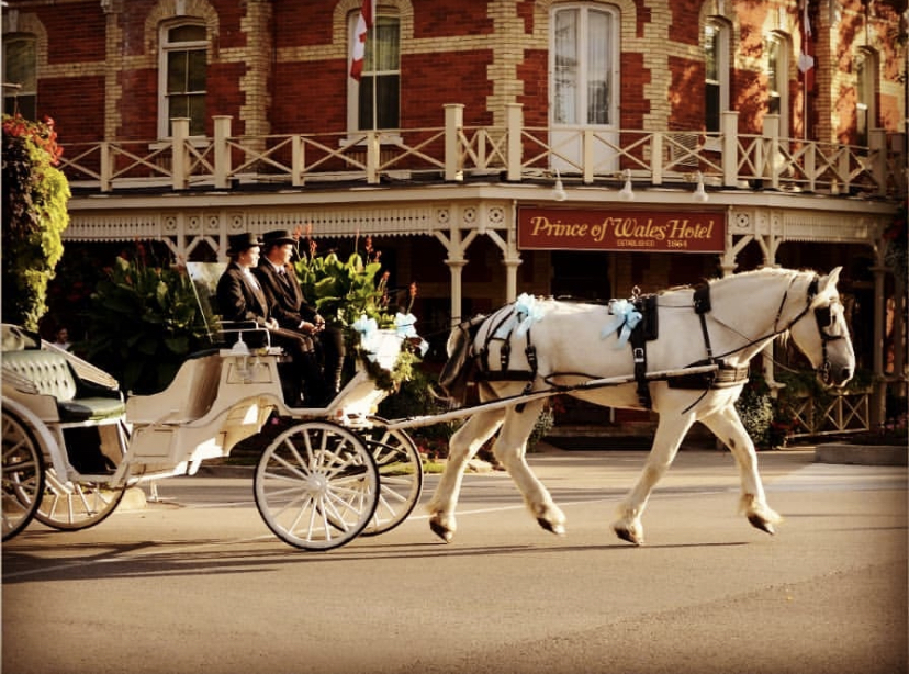 Sentineal Carriages Inc Activities + Niagara-on-the-Lake 