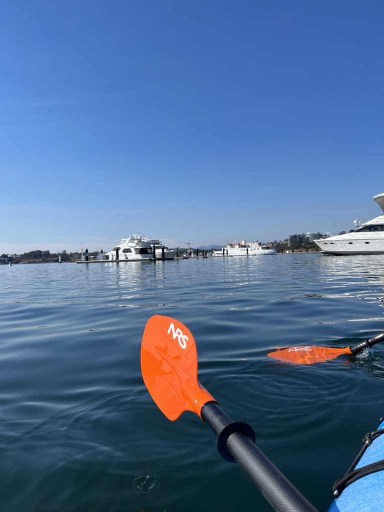 Kayaking in Victoria